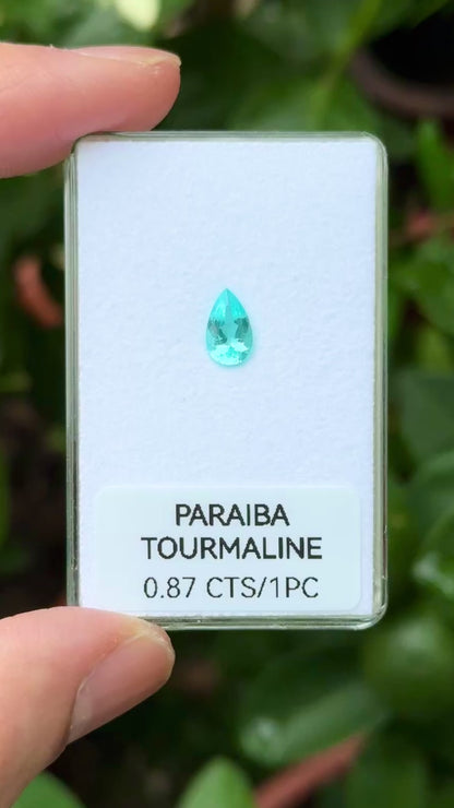 [NGI] 0.87 Cts Paraiba Tourmaline (Mozambique)