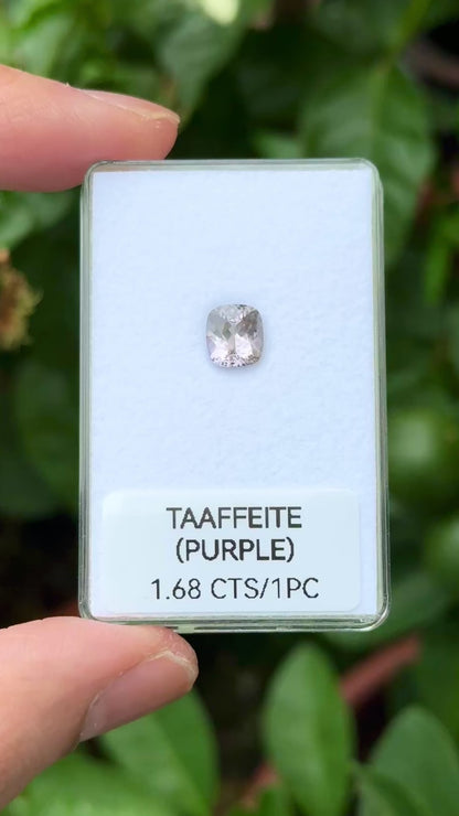 [NGI] 1.68 Cts Purple Taaffeite